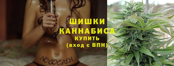 СК Бородино